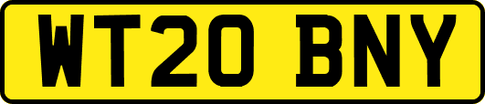 WT20BNY