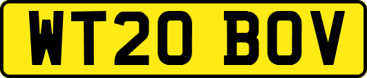 WT20BOV