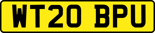 WT20BPU