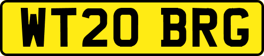 WT20BRG