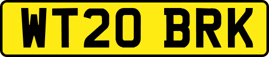 WT20BRK