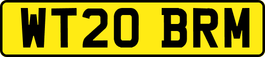 WT20BRM