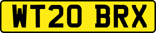 WT20BRX