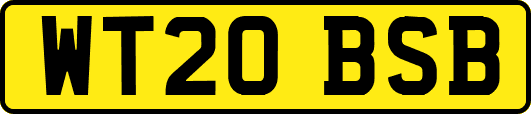 WT20BSB
