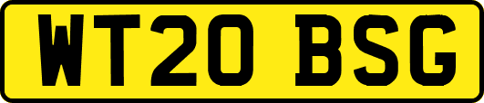 WT20BSG