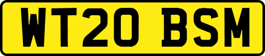 WT20BSM