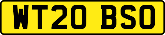 WT20BSO