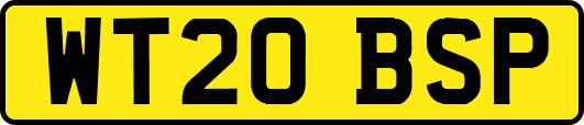 WT20BSP