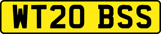 WT20BSS