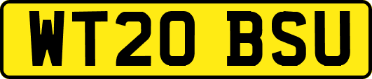 WT20BSU