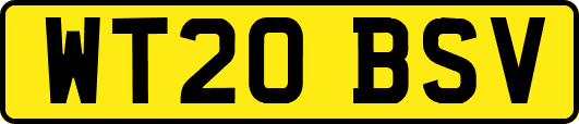 WT20BSV