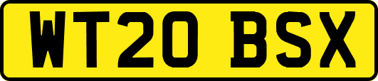 WT20BSX
