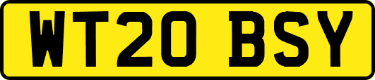 WT20BSY