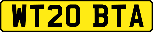 WT20BTA