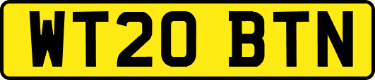 WT20BTN