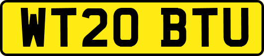 WT20BTU