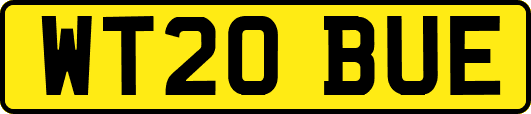 WT20BUE