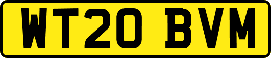 WT20BVM