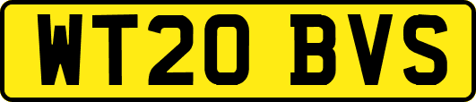 WT20BVS