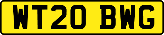 WT20BWG