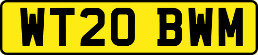 WT20BWM