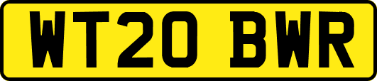 WT20BWR