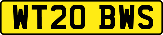 WT20BWS