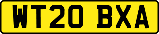 WT20BXA