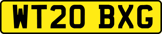 WT20BXG