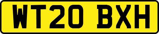 WT20BXH