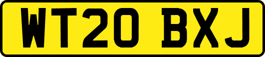 WT20BXJ