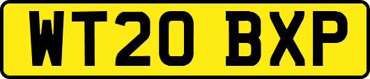 WT20BXP
