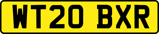 WT20BXR
