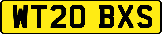 WT20BXS