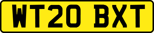 WT20BXT