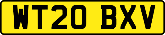 WT20BXV