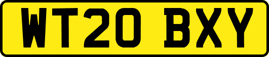 WT20BXY