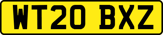 WT20BXZ