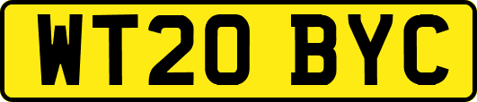 WT20BYC