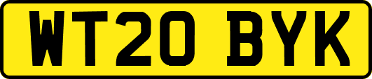 WT20BYK