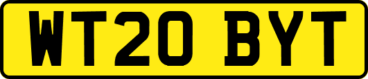 WT20BYT