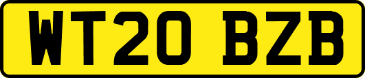 WT20BZB