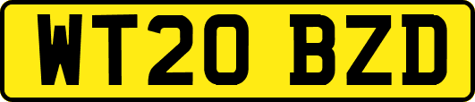 WT20BZD