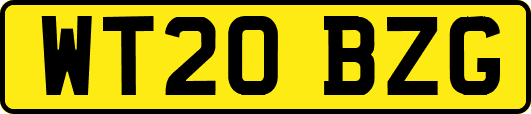 WT20BZG