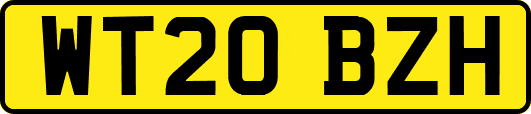 WT20BZH