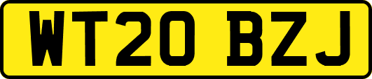 WT20BZJ