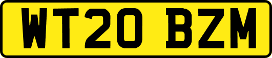 WT20BZM