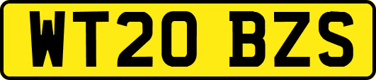 WT20BZS