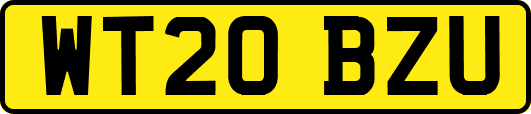 WT20BZU