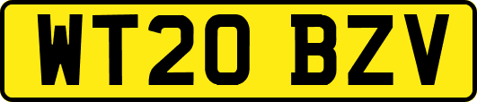 WT20BZV